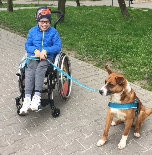 Wiktor na spacerze z psem